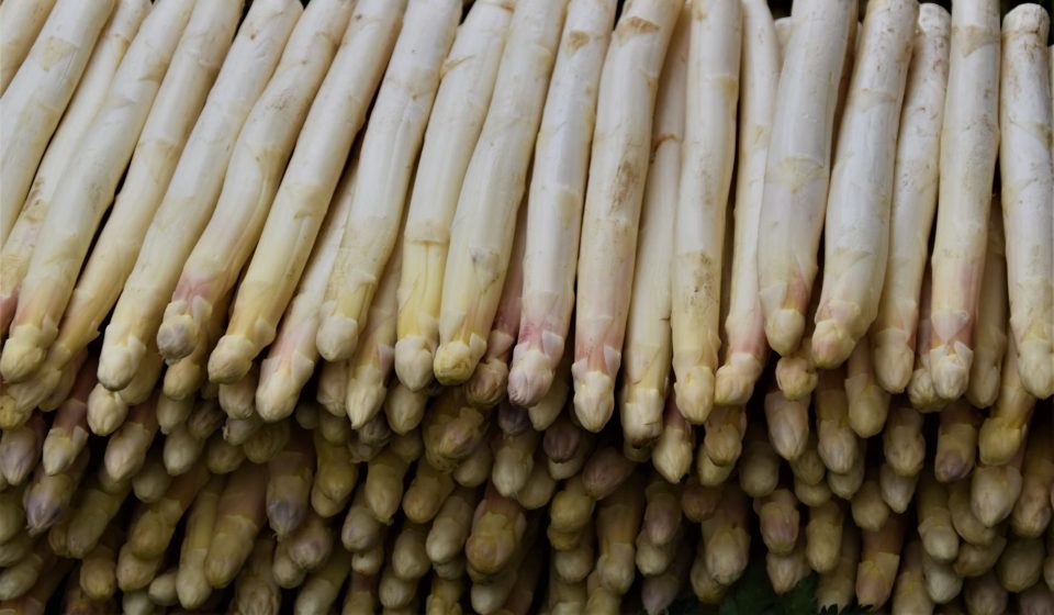 Primeur! Eerste asperges geoogst: 'Ik heb meteen mijn moeder gebeld